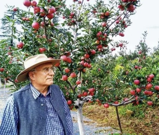 Vijay Stokes at his Apple Orchard in Kothgarh